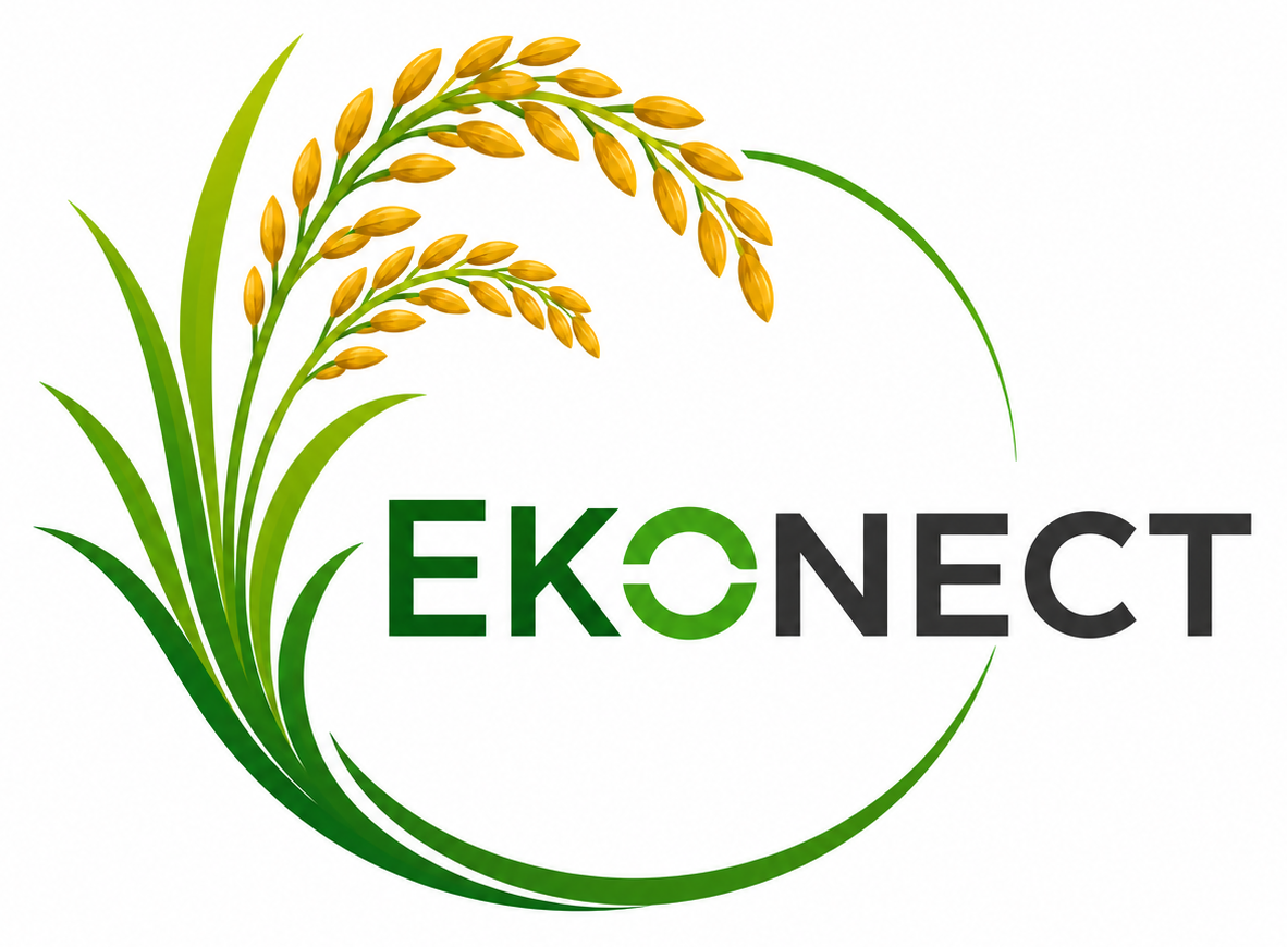 Ekonect