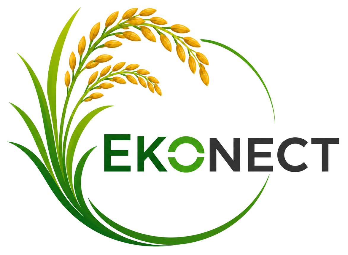 Ekonect